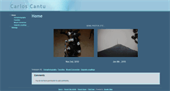 Desktop Screenshot of carloscantu.com